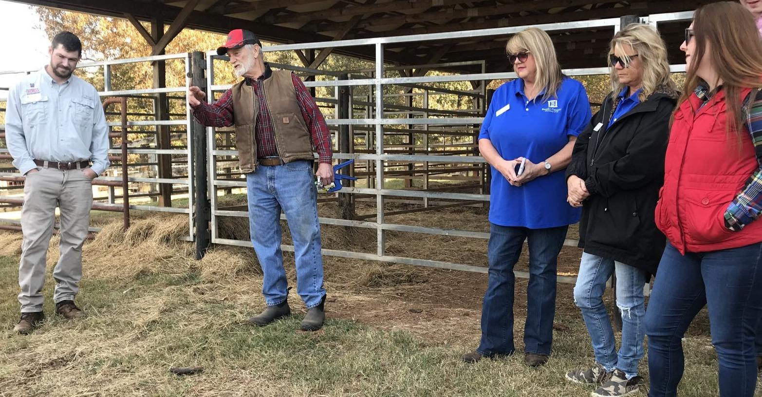 TOURS CATTLE FARM
